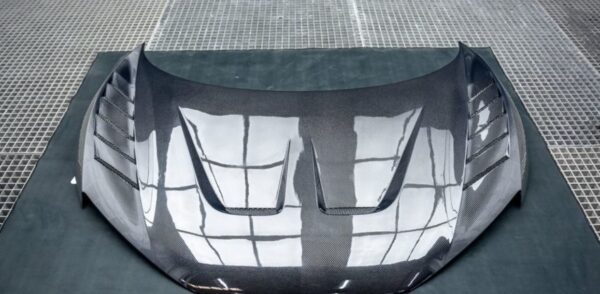 img_5539 ArmorExtend Carbon Fiber AE Hood for Audi R8 Gen
