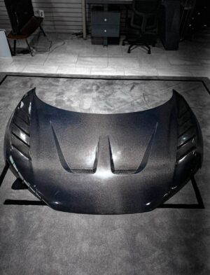 img_5541 Audi R8 Carbon Fiber Hood Gen 2 17-23